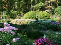 LANDSCAPE-FALL-GENERAL-14.jpg (504203 bytes)