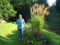 LANDSCAPE-FALL-GRASSES-02.jpg (1681613 bytes)