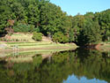 LANDSCAPE-FALL-TREE COLORS-12.jpg (487514 bytes)