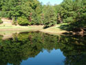 LANDSCAPE-FALL-TREE COLORS-14.jpg (483455 bytes)