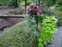 LANDSCAPE-FEATURES-HANGING BASKETS-03.jpg (1598890 bytes)
