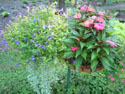 LANDSCAPE-FEATURES-HANGING BASKETS-09.jpg (1622107 bytes)