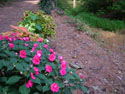 LANDSCAPE-FEATURES-PLANTERS-03.jpg (1640801 bytes)