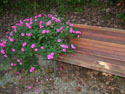 LANDSCAPE-FEATURES-PLANTERS-06.jpg (1653949 bytes)