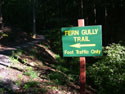 LANDSCAPE-FEATURES-SIGNS-02.jpg (1731974 bytes)