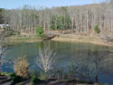 LANDSCAPE-SPRING-GENERAL-05.jpg (229985 bytes)