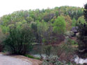 LANDSCAPE-SPRING-GENERAL-14.jpg (255449 bytes)