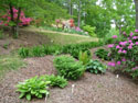 LANDSCAPE-SPRING-GENERAL-15.jpg (1612871 bytes)