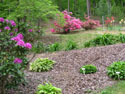 LANDSCAPE-SPRING-GENERAL-16.jpg (1643849 bytes)