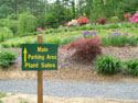 LANDSCAPE-SPRING-GENERAL-17.jpg (1652956 bytes)