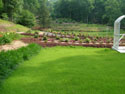 LANDSCAPE-SPRING-GENERAL-19.jpg (1592288 bytes)