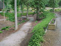 LANDSCAPE-SPRING-HOSTA-05.jpg (300279 bytes)