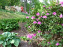 LANDSCAPE-SPRING-RHODODENDRONS-02.jpg (1632300 bytes)
