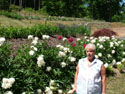 LANDSCAPE-SPRING-SHRUBS-12.jpg (1527377 bytes)