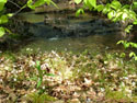 LANDSCAPE-SPRING-WILDFLOWERS-41.jpg (1626848 bytes)