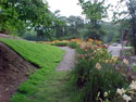 LANDSCAPE-SUMMER-GENERAL-18.jpg (288337 bytes)