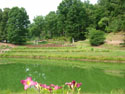 LANDSCAPE-SUMMER-GENERAL-30.jpg (1588854 bytes)
