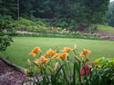 LANDSCAPE-SUMMER-GENERAL-36.jpg (1577108 bytes)