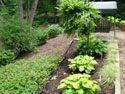 LANDSCAPE-SUMMER-GENERAL-40.jpg (1603002 bytes)