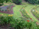 LANDSCAPE-SUMMER-GENERAL-43.jpg (1609582 bytes)