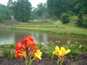 LANDSCAPE-SUMMER-GENERAL-45.jpg (1705329 bytes)