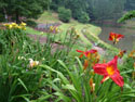 LANDSCAPE-SUMMER-GENERAL-46.jpg (1604902 bytes)