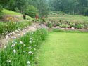 LANDSCAPE-SUMMER-PERENNIALS-50.jpg (1644470 bytes)