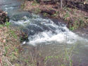 LANDSCAPE-WATER-FLOODS-11.jpg (318081 bytes)