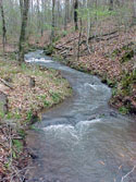 LANDSCAPE-WATER-FLOODS-14.jpg (320100 bytes)