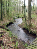 LANDSCAPE-WATER-STREAMS-05.jpg (339074 bytes)