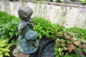 LANDSCAPE-WATER-WATER FEATURES-06.jpg (3338752 bytes)