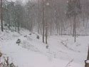 LANDSCAPE-WINTER-SNOW-04.jpg (181356 bytes)