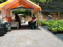SALES-POTS-SALES AREA-04.jpg (1684492 bytes)