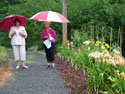 VISITORS-INDIVIDUALS-15.jpg (1651546 bytes)