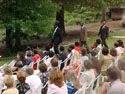 WEDDING-CEREMONY-YARD-05.jpg (269836 bytes)